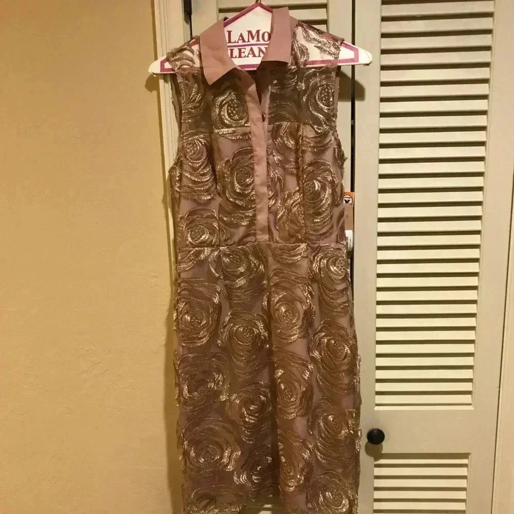 Rachel Roy rosette dress. BNWT SZ 4